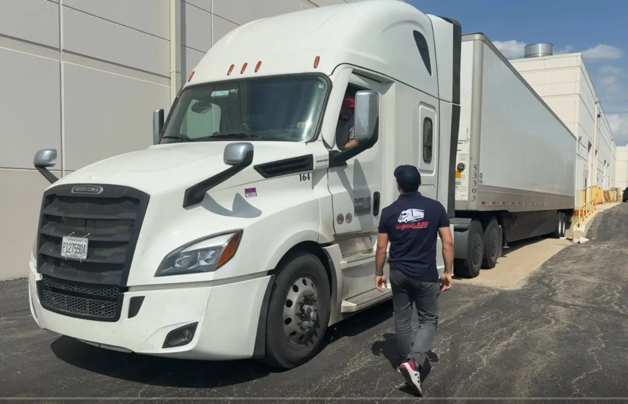 Tamerlane professionals